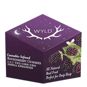 WYLD - BOYSENBERRY - SLEEP GUMMY - 100MG