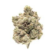 SOLACE GROWN - TROPICANA BANANA - HOUSE 1/2 OZ