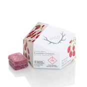 WYLD - RASPBERRY SATIVA - GUMMIES - 100MG