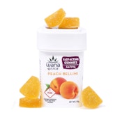 WANA - PEACH BELLINI SATIVA - QUICK ACTING GUMMIES - 100MG