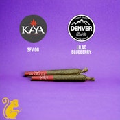 MADE IN XIAOLIN - BAMBINO 2PK - SFV OG X LILAC BLUEBERRY - INFUSED PRE ROLL - 1G